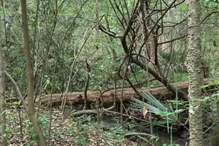 3519 NW 30th Blvd, Gainesville, FL 32605 - Photo 55