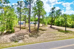 175 Whirlwind Loop, Hawthorne, FL 32640 - Photo 49