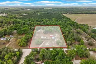 3100 NW 20th St, Bell, FL 32619 - Photo 3