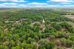 3100 NW 20th St, Bell, FL 32619 - Photo 33