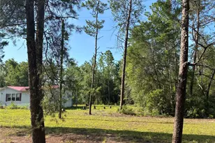 109 Greenwood Rd, Florahome, FL 32140 - Photo 3