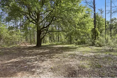 4215 SW 253rd Terrace, Newberry, FL 32669 - Photo 27