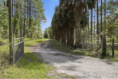 4215 SW 253rd Terrace, Newberry, FL 32669 - Photo 5