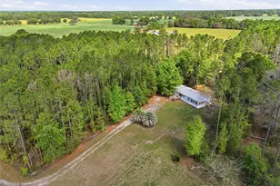 4215 SW 253rd Terrace, Newberry, FL 32669 - Photo 7