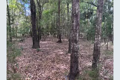 1.77 Acres NW 73 Street, Chiefland, FL 32626 - Photo 1