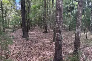 1 77 Acres NW 73 St, Chiefland, FL 32626 - Photo 1