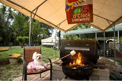 110 Shaffer Avenue, Crescent City, FL 32112 - Photo 25