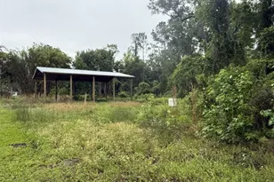 218 Pine Dr, Crescent City, FL 32112 - Photo 1