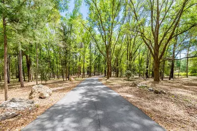 456 SW Bradenton Way, Fort White, FL 32038 - Photo 3