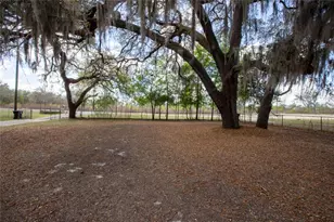 5921 Co Rd 352, Keystone Heights, FL 32656 - Photo 5