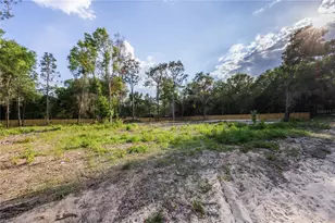 6397 Baylor Ave, Keystone Heights, FL 32656 - Photo 1