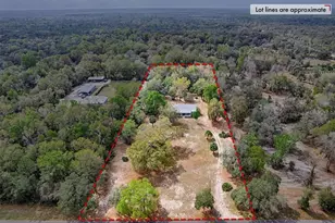 9880 NW 110th St, Chiefland, FL 32626 - Photo 37