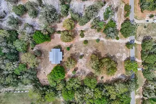 9880 NW 110th St, Chiefland, FL 32626 - Photo 37