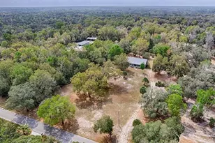 9880 NW 110th St, Chiefland, FL 32626 - Photo 35