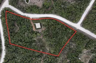 1133 SE 81st Pl, Trenton, FL 32693 - Photo 39