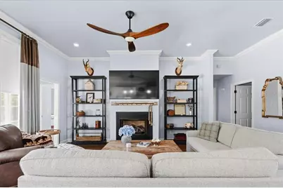 20744 NW 252nd Street, High Springs, FL 32643 - Photo 11