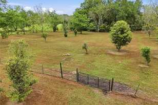 19518 NW 78th Ave, Alachua, FL 32615 - Photo 45