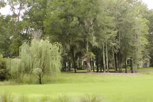 13265 SW 6th Ave, Newberry, FL 32669 - Photo 69
