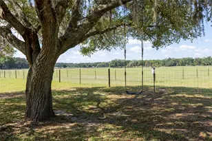 3019 SE 90th Ave, Newberry, FL 32669 - Photo 33