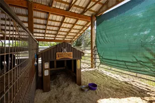 3019 SE 90th Ave, Newberry, FL 32669 - Photo 43