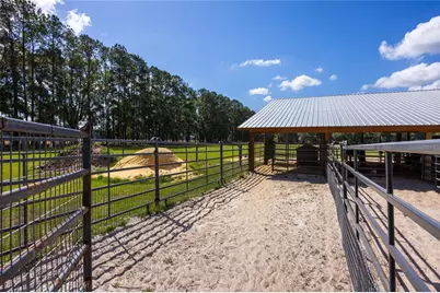 3019 SE 90th Avenue, Newberry, FL 32669 - Photo 41
