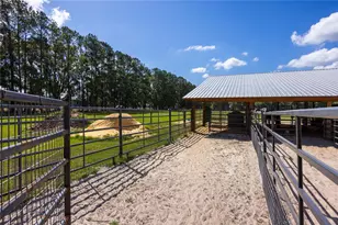 3019 SE 90th Ave, Newberry, FL 32669 - Photo 41