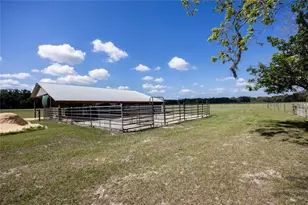 3019 SE 90th Ave, Newberry, FL 32669 - Photo 41