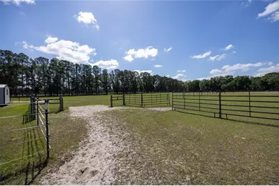 3019 SE 90th Avenue, Newberry, FL 32669 - Photo 51