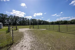 3019 SE 90th Ave, Newberry, FL 32669 - Photo 51