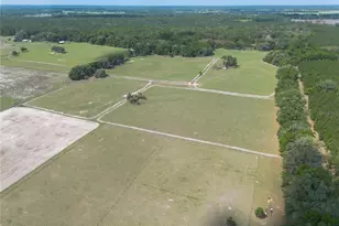 3019 SE 90th Ave, Newberry, FL 32669 - Photo 65