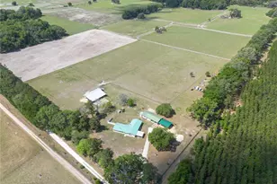 3019 SE 90th Ave, Newberry, FL 32669 - Photo 59