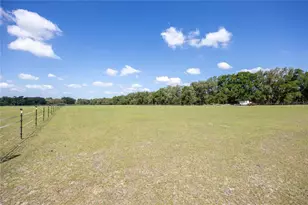 3019 SE 90th Ave, Newberry, FL 32669 - Photo 55