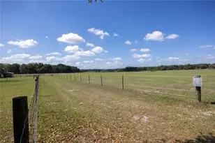 3019 SE 90th Ave, Newberry, FL 32669 - Photo 51