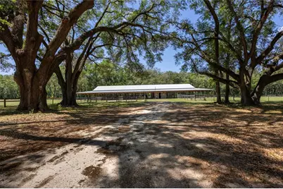 9004 NW 226th Street, Alachua, FL 32615 - Photo 33