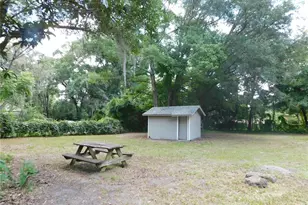 541 NE 11th St, Gainesville, FL 32601 - Photo 19