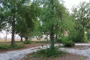 11533 E US 90, Madison, FL 32340 - Photo 29