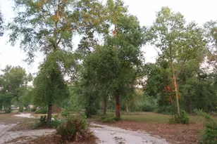 11533 E US 90, Madison, FL 32340 - Photo 31