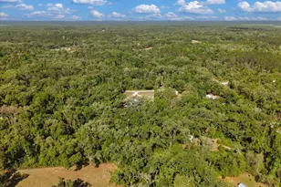 [Address not provided], Old Town, FL 32680 - Photo 37