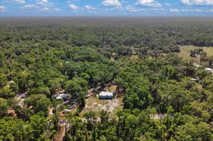 [Address not provided], Old Town, FL 32680 - Photo 39