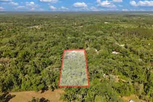 [Address not provided], Old Town, FL 32680 - Photo 33