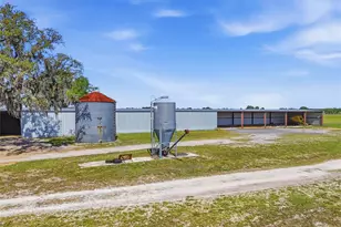 11131 NE 35th St, Bronson, FL 32621 - Photo 51