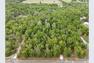 3100 NW 30th Street, Bell, FL 32619 - Photo 9