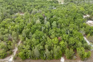 3100 NW 30th St, Bell, FL 32619 - Photo 9