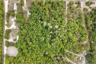 3100 NW 30th St, Bell, FL 32619 - Photo 13