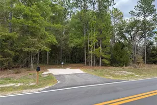 3100 NW 30th St, Bell, FL 32619 - Photo 1