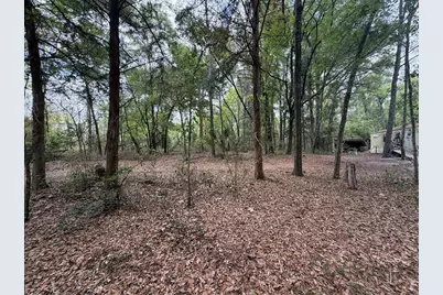 3100 NW 30th Street, Bell, FL 32619 - Photo 3