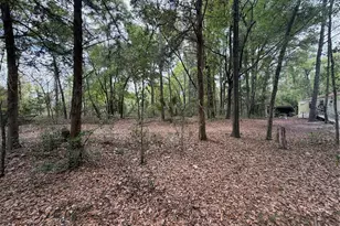 3100 NW 30th St, Bell, FL 32619 - Photo 3