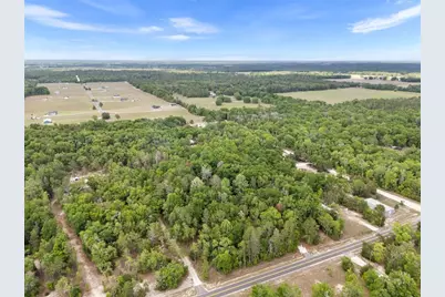 3100 NW 30th Street, Bell, FL 32619 - Photo 11