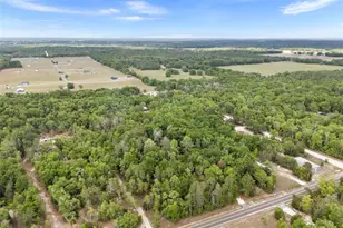 3100 NW 30th St, Bell, FL 32619 - Photo 11