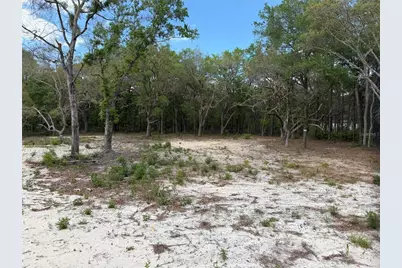 10671 NE 75th Street, Bronson, FL 32621 - Photo 15